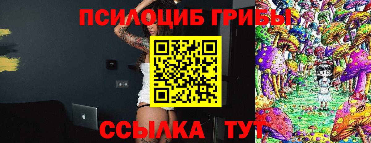 Галлюциногенные грибы Magic Shrooms  Вход с VPN  Галлюциногенные грибы MAGIC MUSHROOMS  Балтийск 